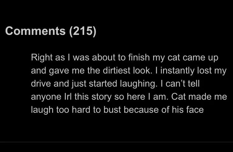 cat prevents guy from busting nut posted by graysillysilly