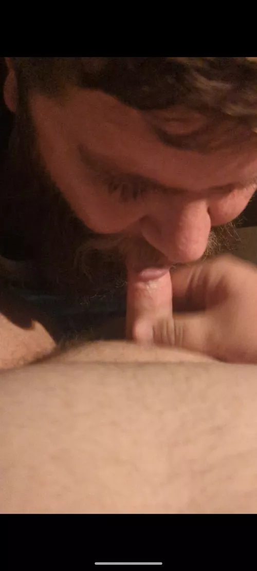 Feed me by smokeybear911