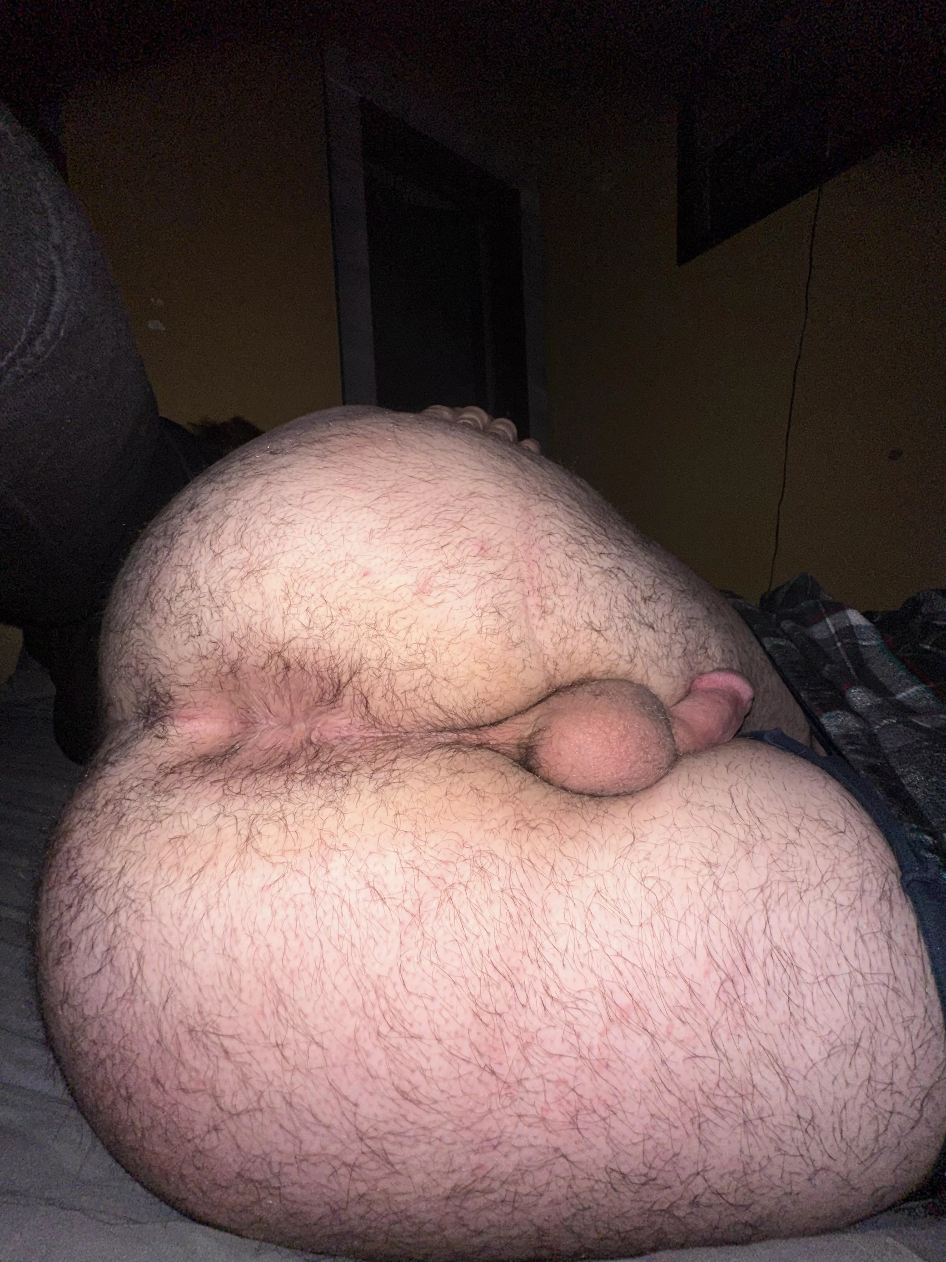 Good morning :3 posted by Reynolds763