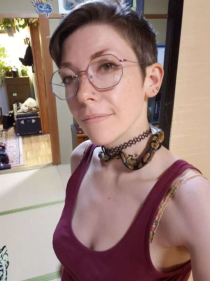 I have a new friend! posted by streetweeb