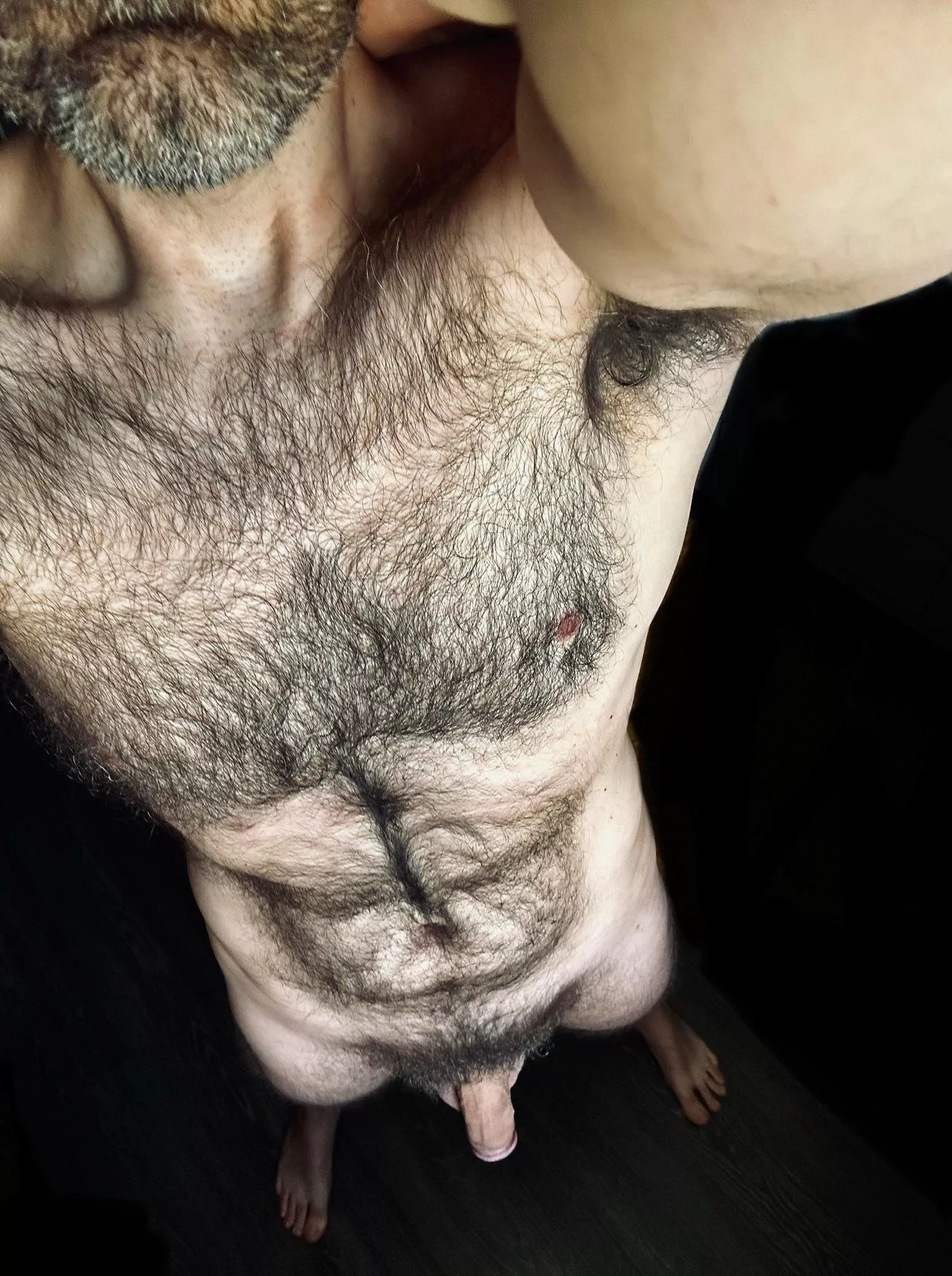 It's werewolf season, yeah? posted by jerseyjaxoff