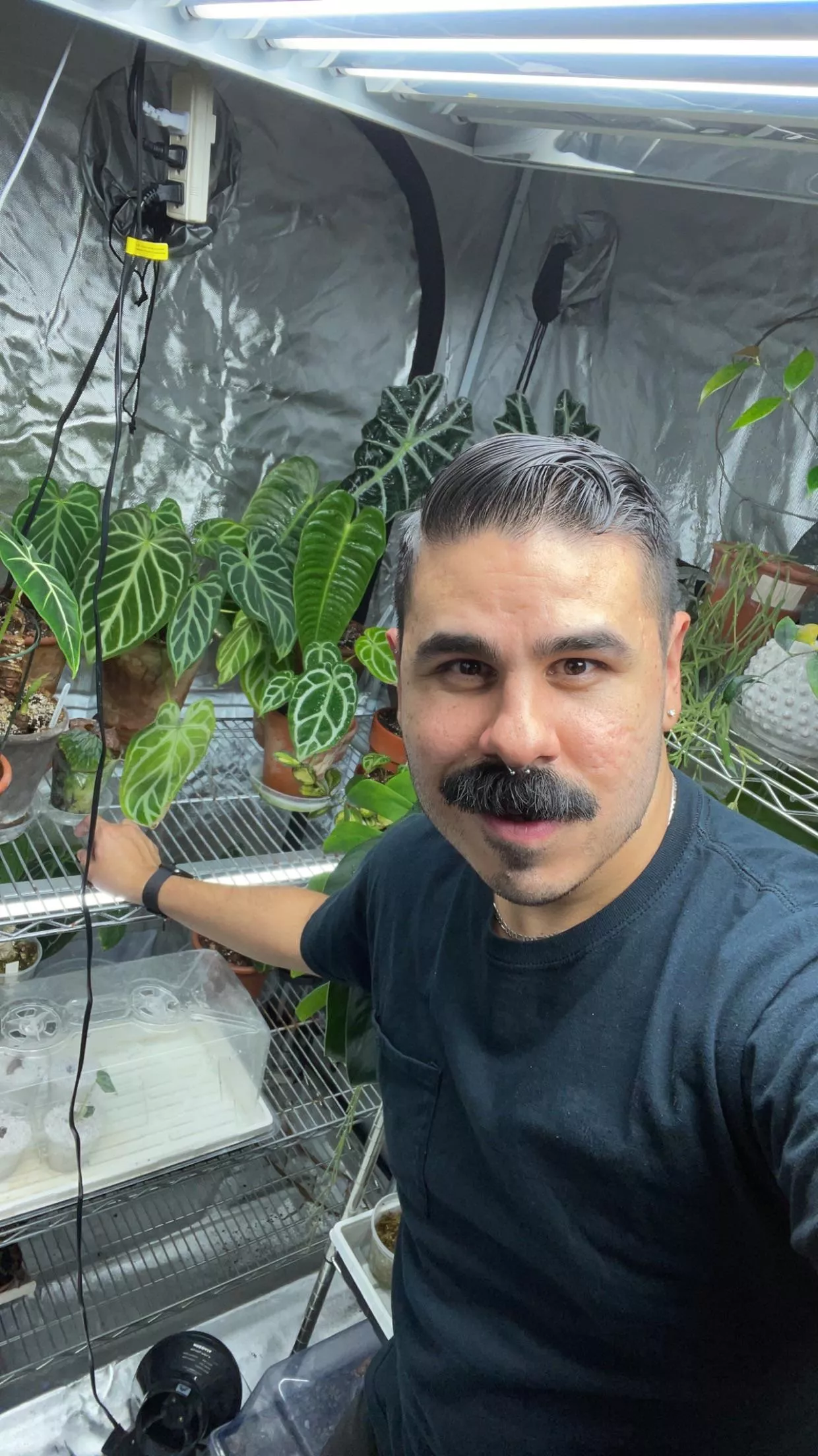 Just me and my Anthuriums 💁‍♂️🪴 posted by lilbabyshark