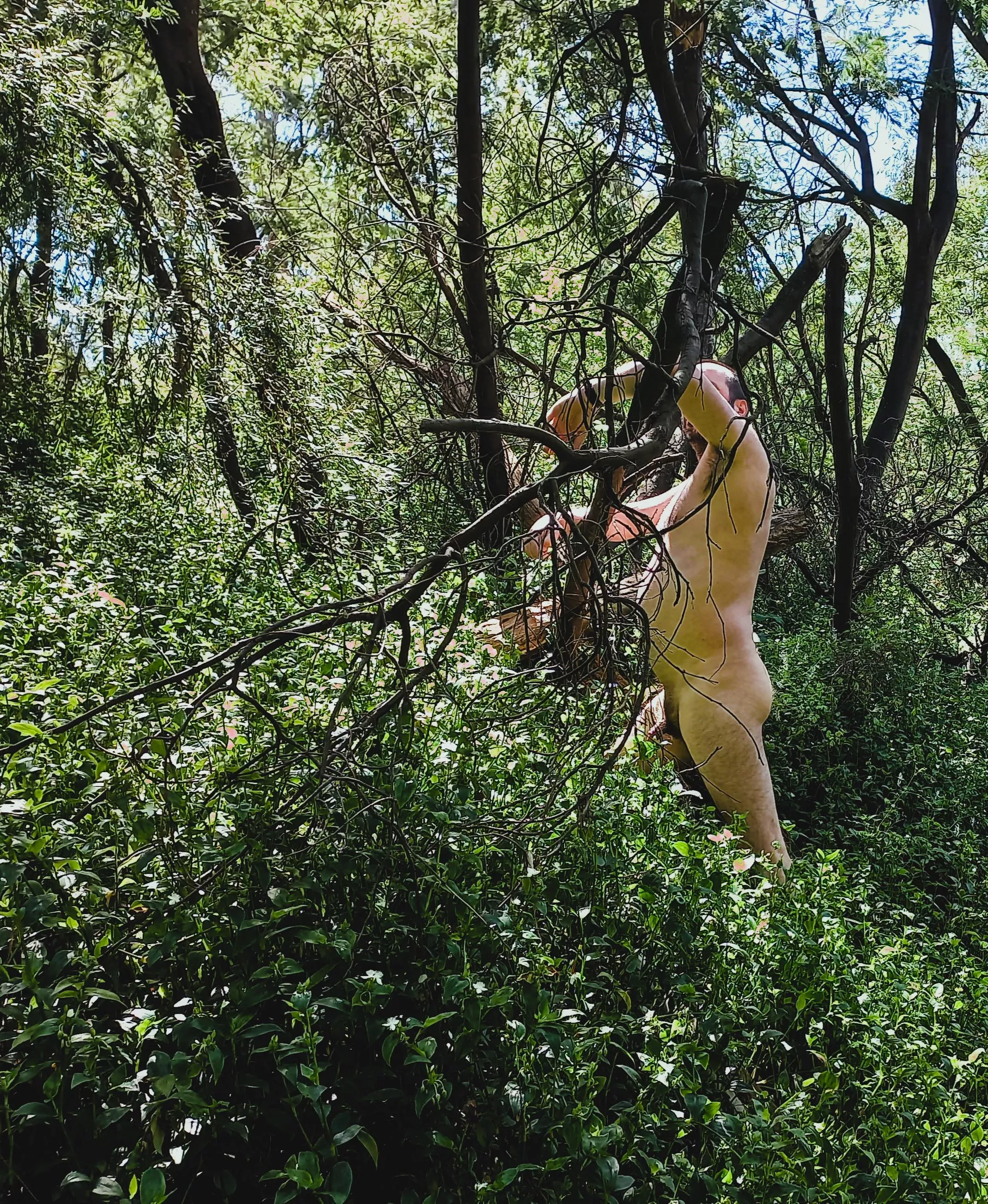 Just some lunchtime exploring posted by keg078