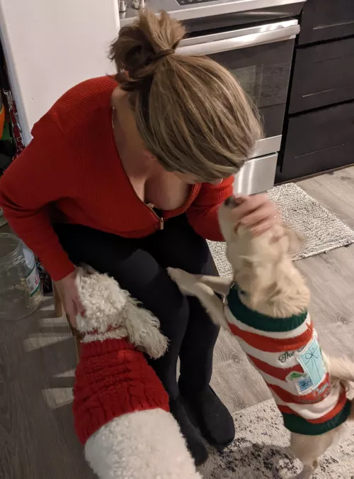 My neighbor's dogs always seem so happy to see me! by Madame_Misanthrope