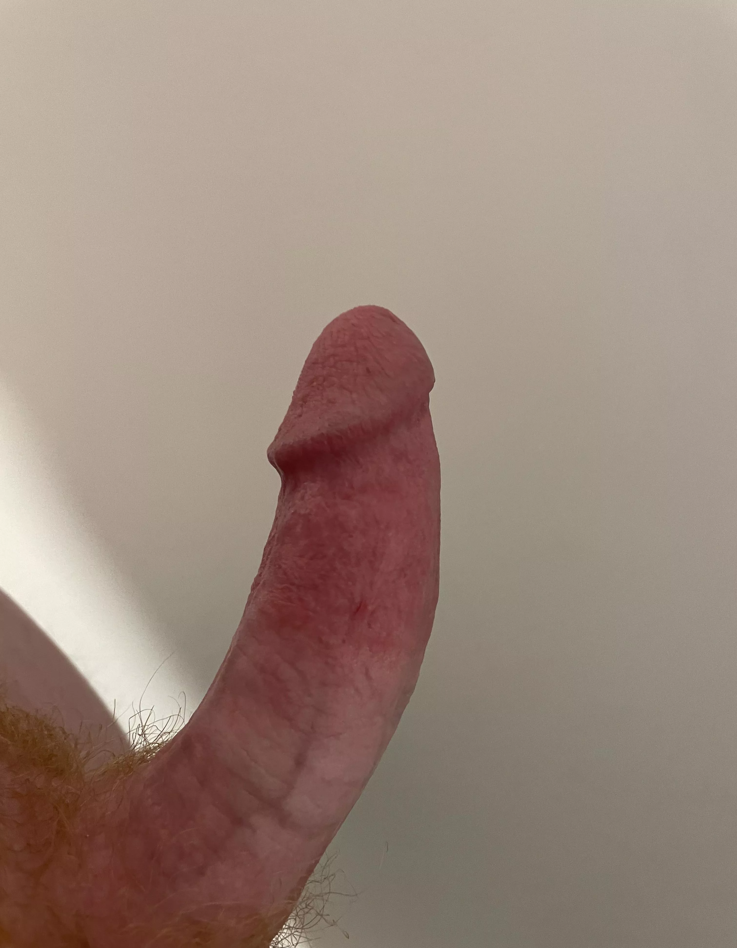 What would you do to my 18 year old cock? posted by Economy_Bluebird_242