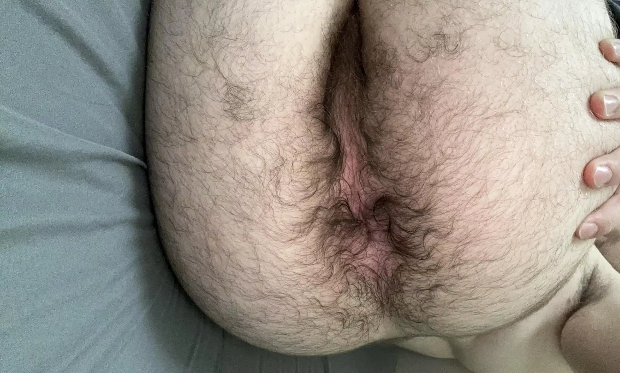 You like hairy college ass? ;) posted by Fair_Philosopher_508