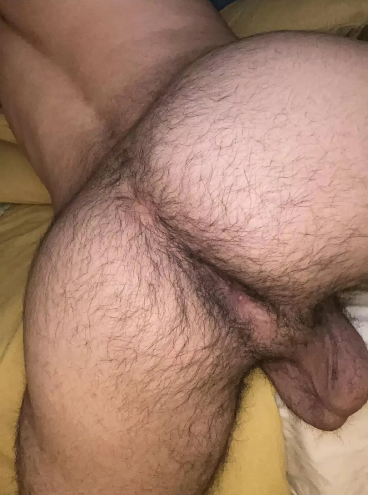 Breakfast is ready! posted by sad-btm