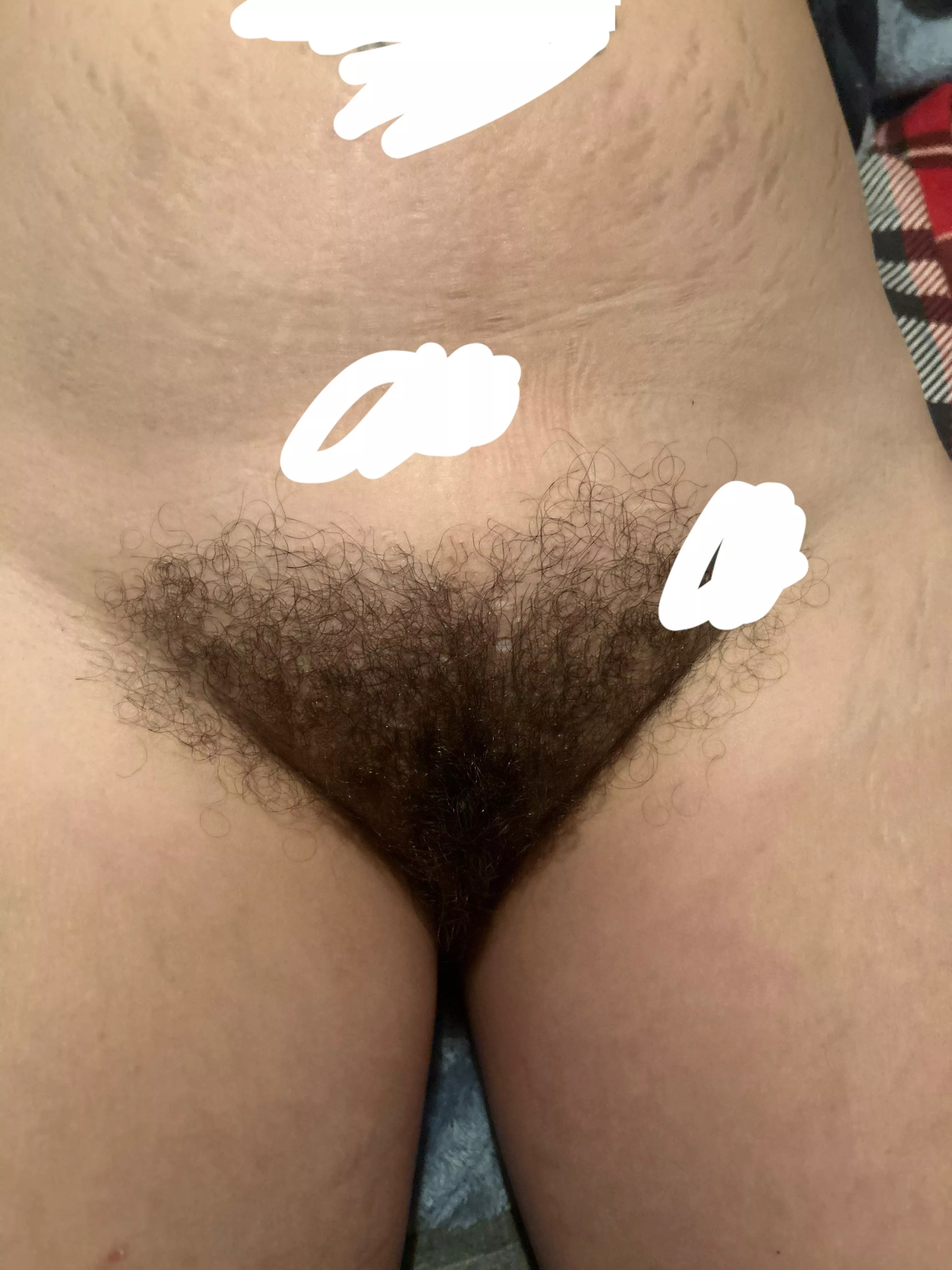 Bush?? posted by Dangerous_Ad_9281