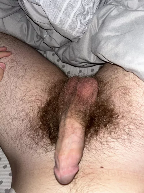 Dm me if you like my HS bush by brassbad