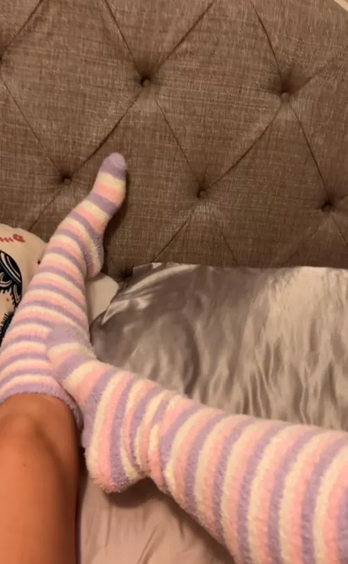 Fuzzies in bed by penelopes_nectar