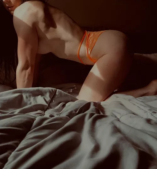 Getting ready to nap after the gym by Oh_our_wild_side