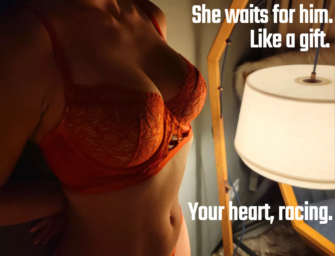 Like a gift. posted by netalterego