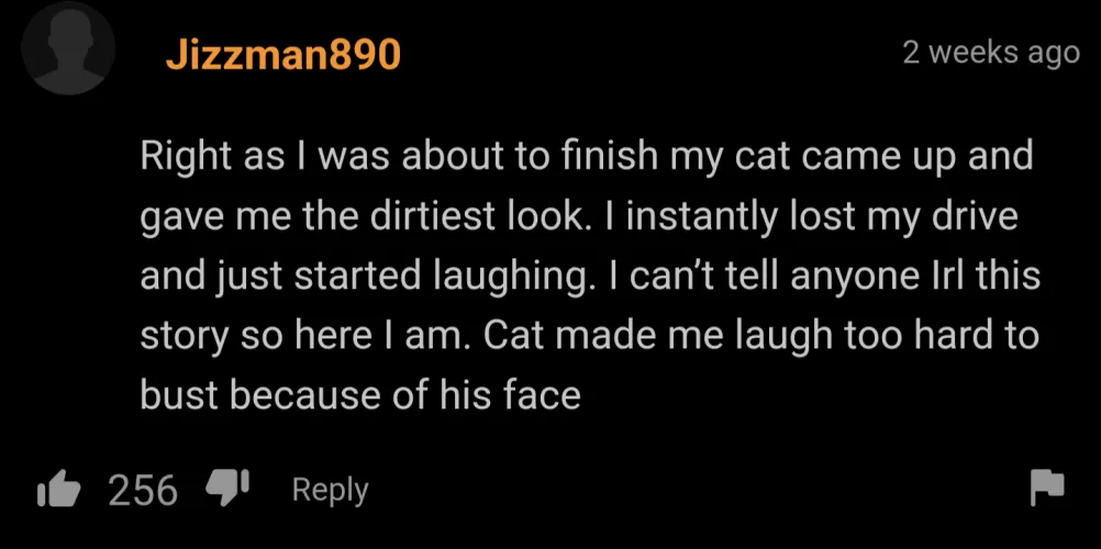 the look of judgement. by MaseeTheWolf