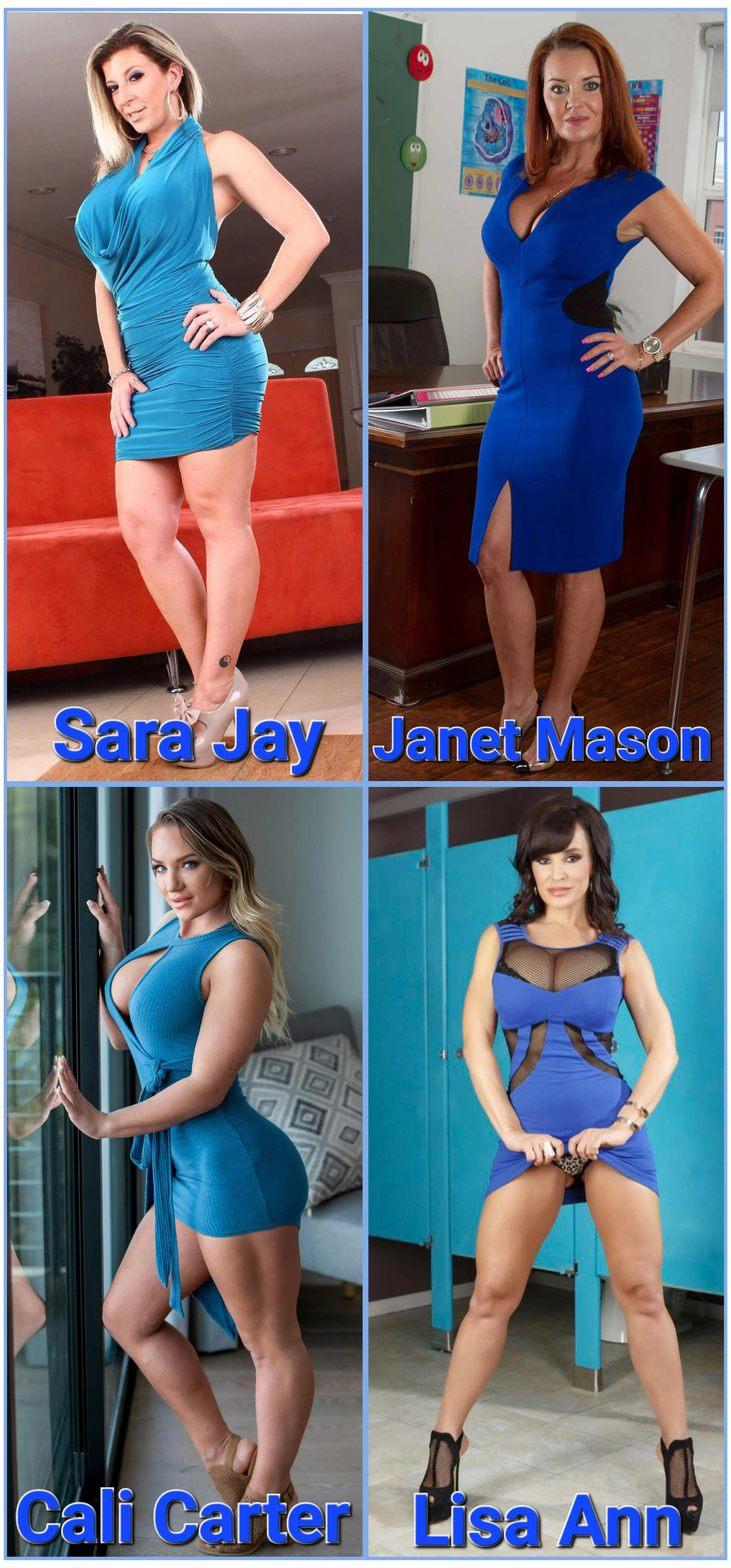 Who fills out their blue dress better? [Sara Jay] [Janet Mason] [Lisa Ann] or [Cali Carter] posted by sjla2019