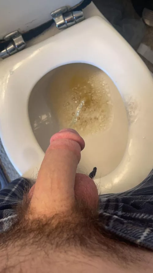 Who wants to join me for my morning piss by JulianandJason_