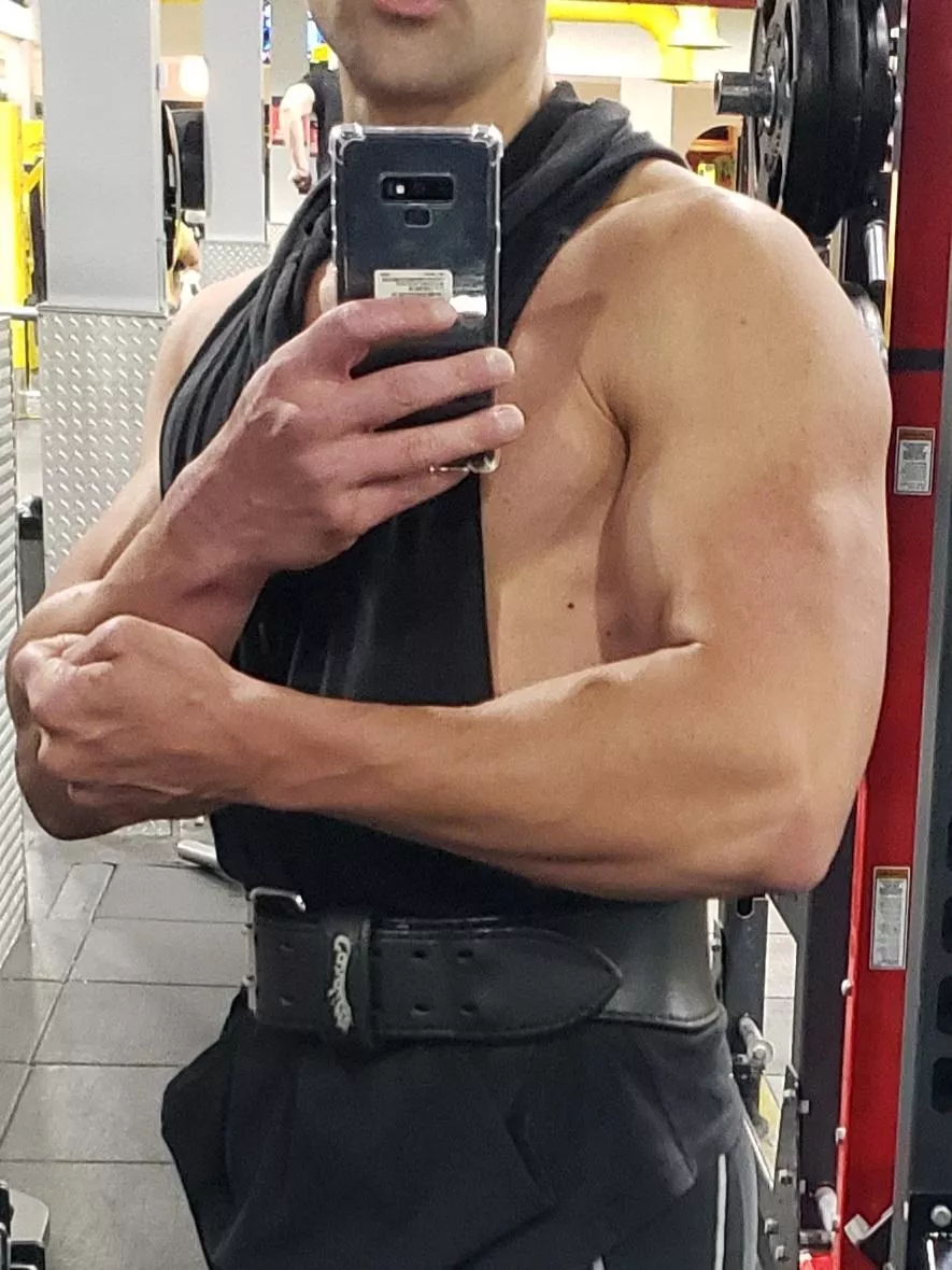 Why do they call them forearms if we only have 2? (Seinfeld voice) posted by dreamyfit