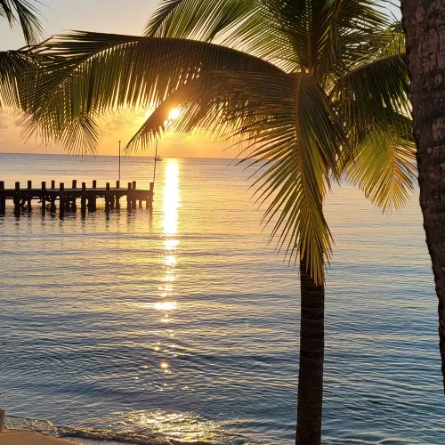 Cozumel by queenicee1