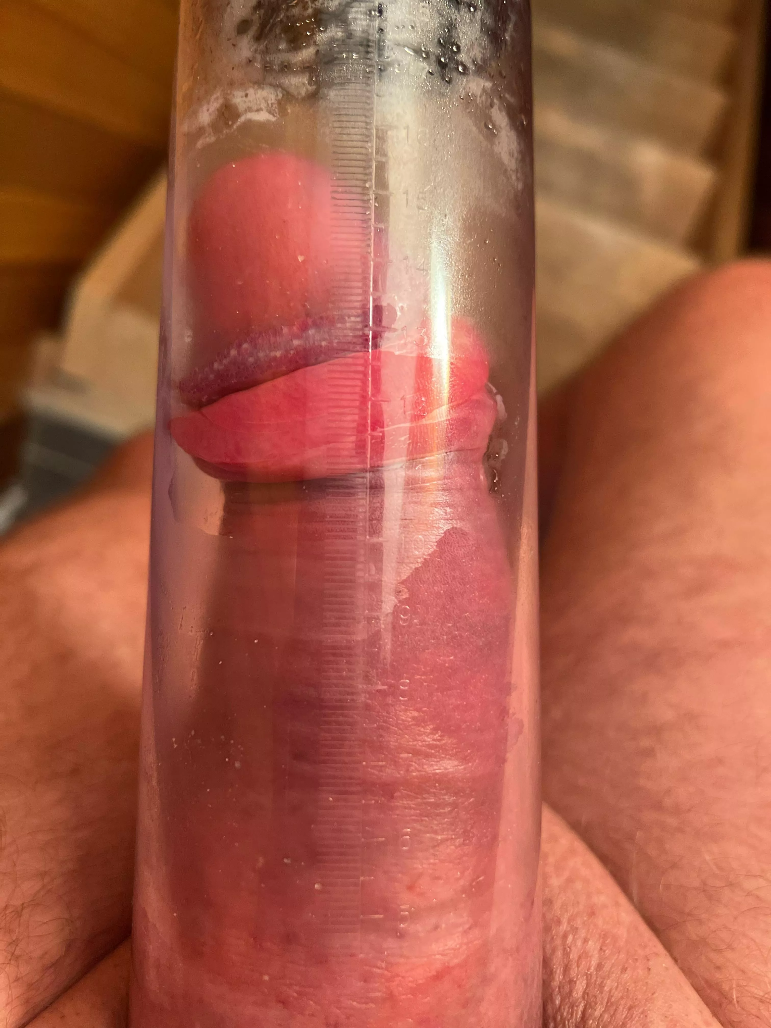 Getting piggy👊 posted by bartjepel