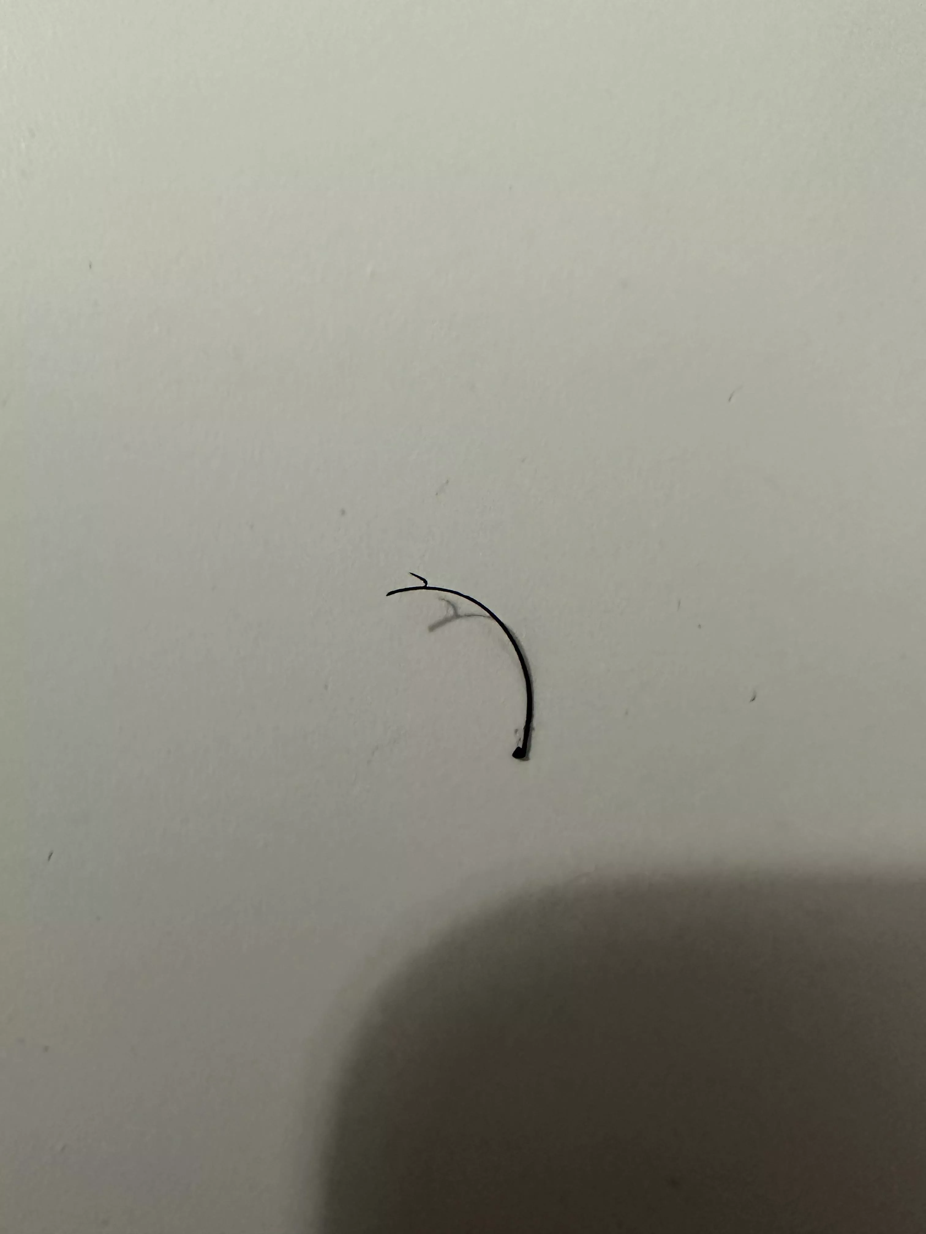 hook on hair pulled from beard??? posted by CycloneGhostAlpha
