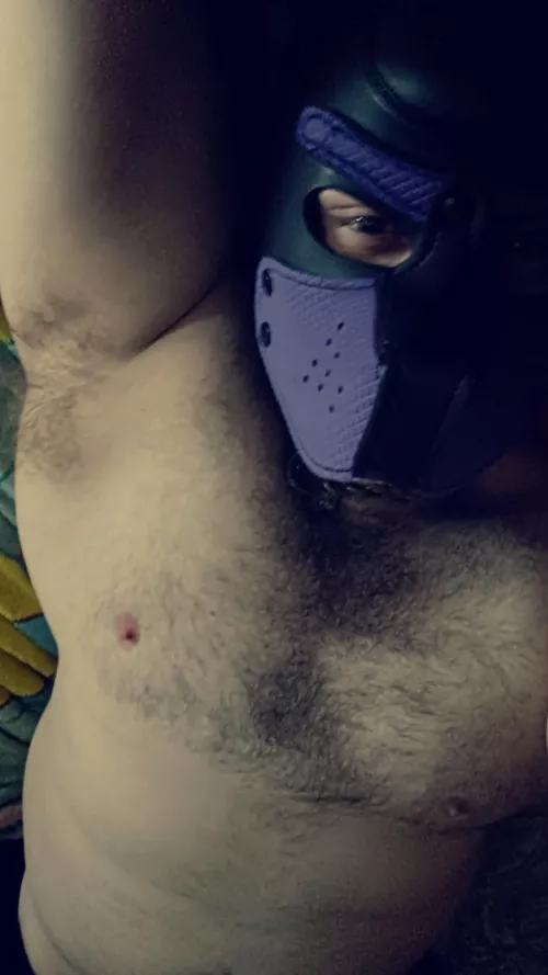 Hope y'all are having a good night! by Bulbaskunk