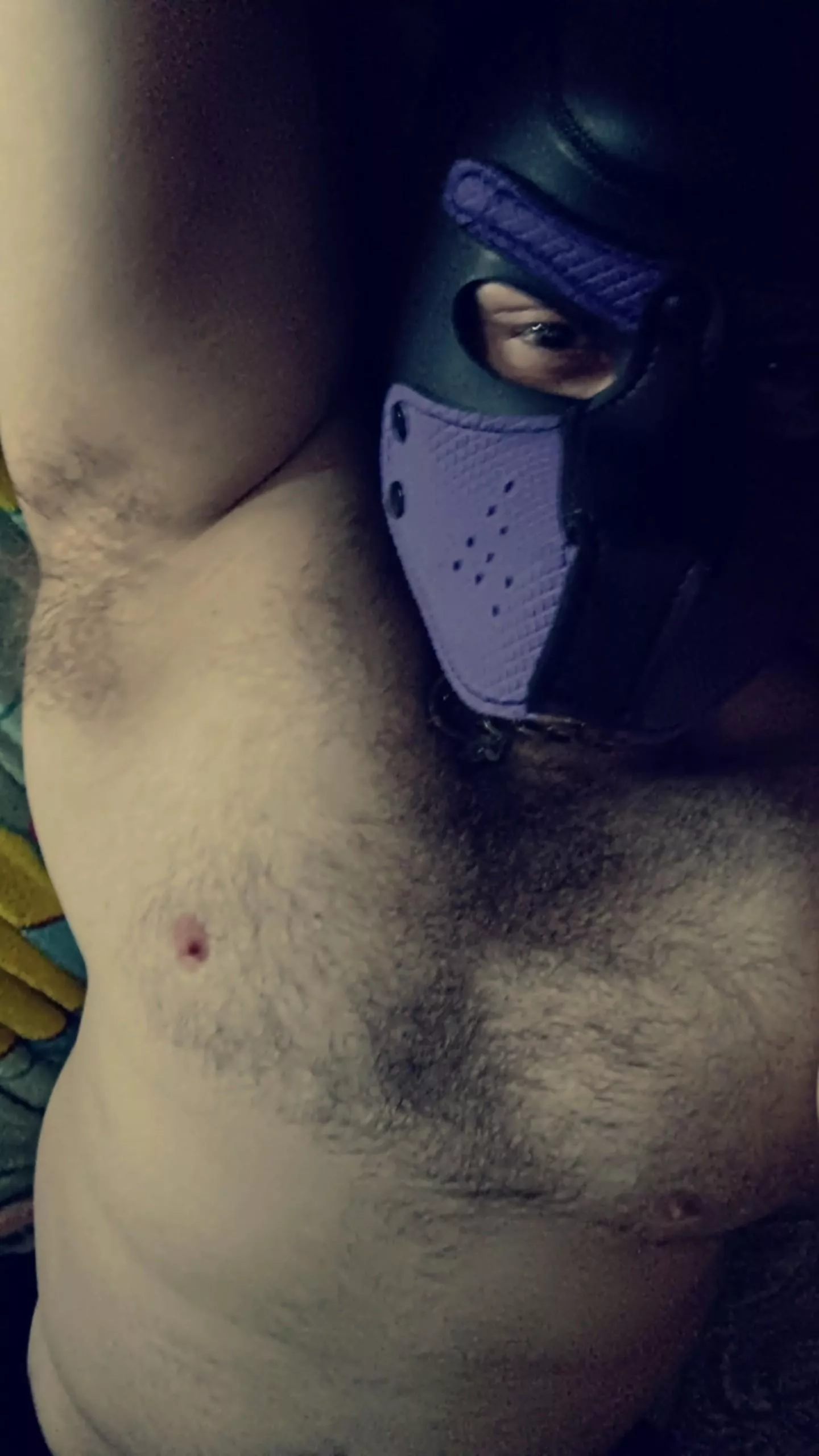 Hope y'all are having a good night! posted by Bulbaskunk