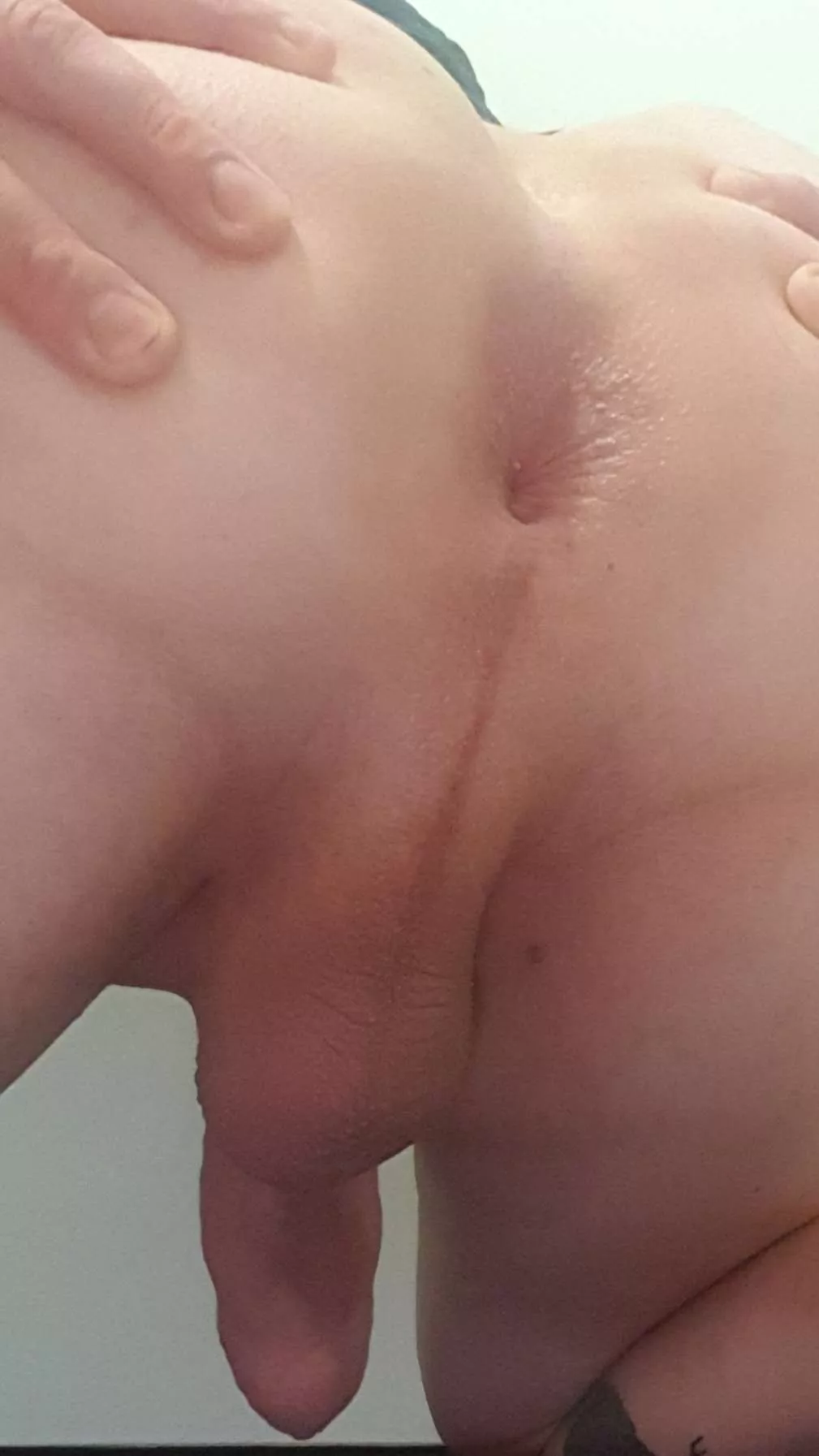 Hungry? posted by denomlemon