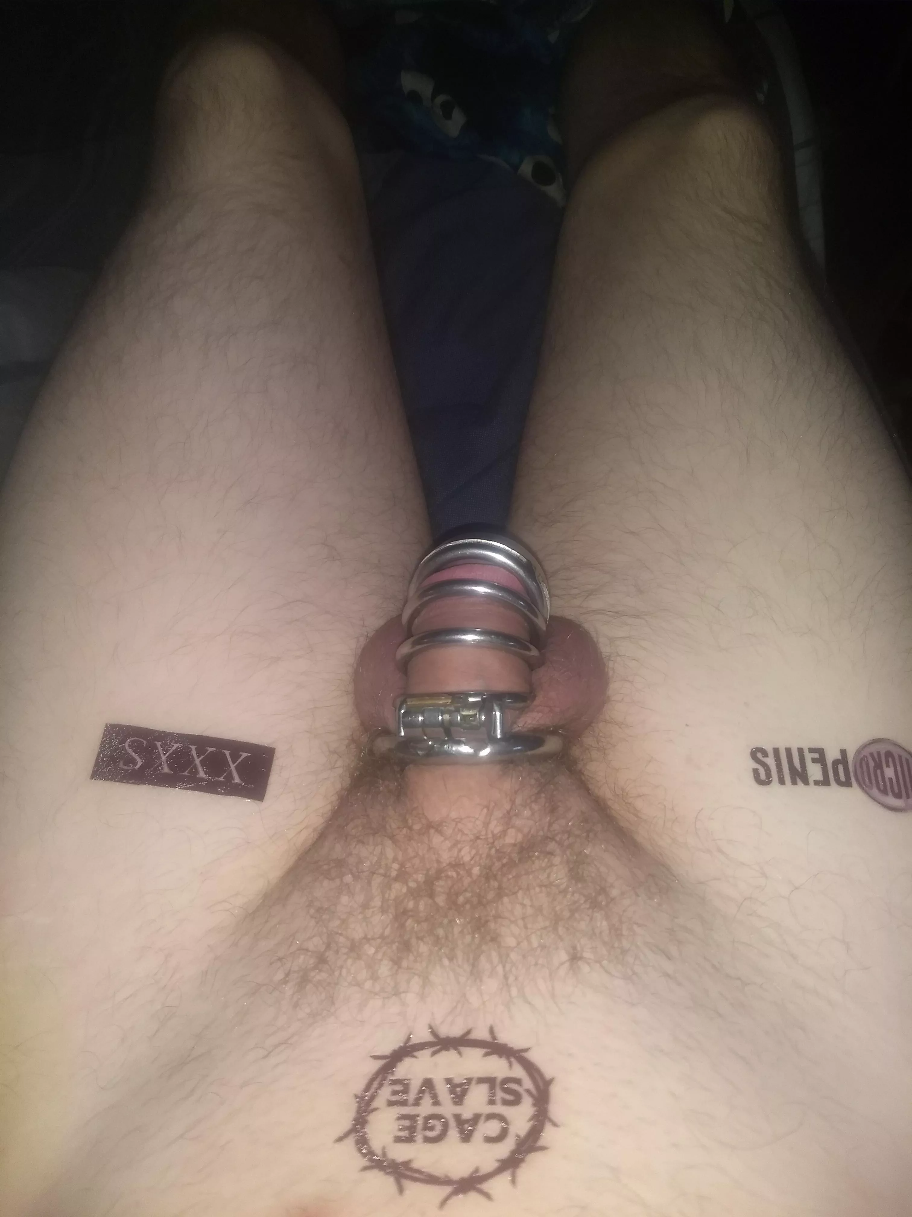 I think I need a smaller cage for my little clity who agrees posted by Western-Ice-556