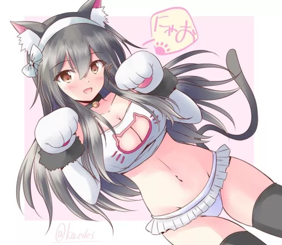 Lovely neko waifu by reversedturnover