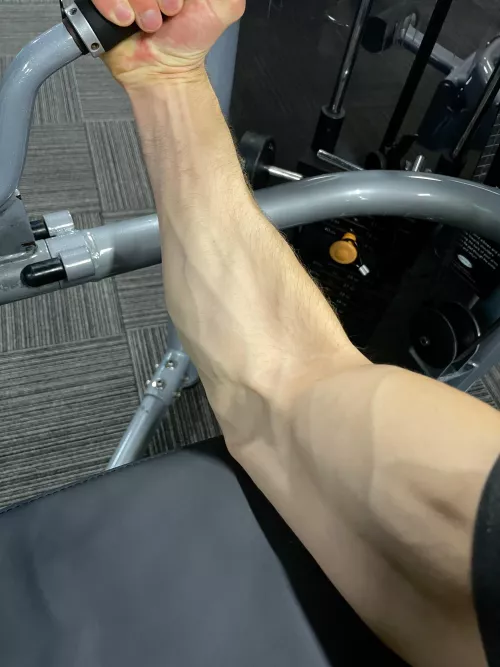 Mid exercise by Sensationalpackage