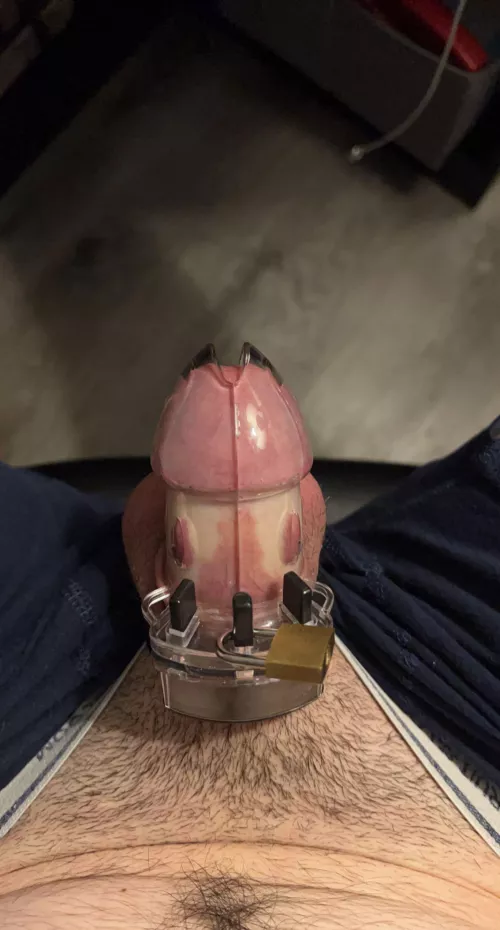 This locktober has been rough but it’s almost done right? by Metalgroyp