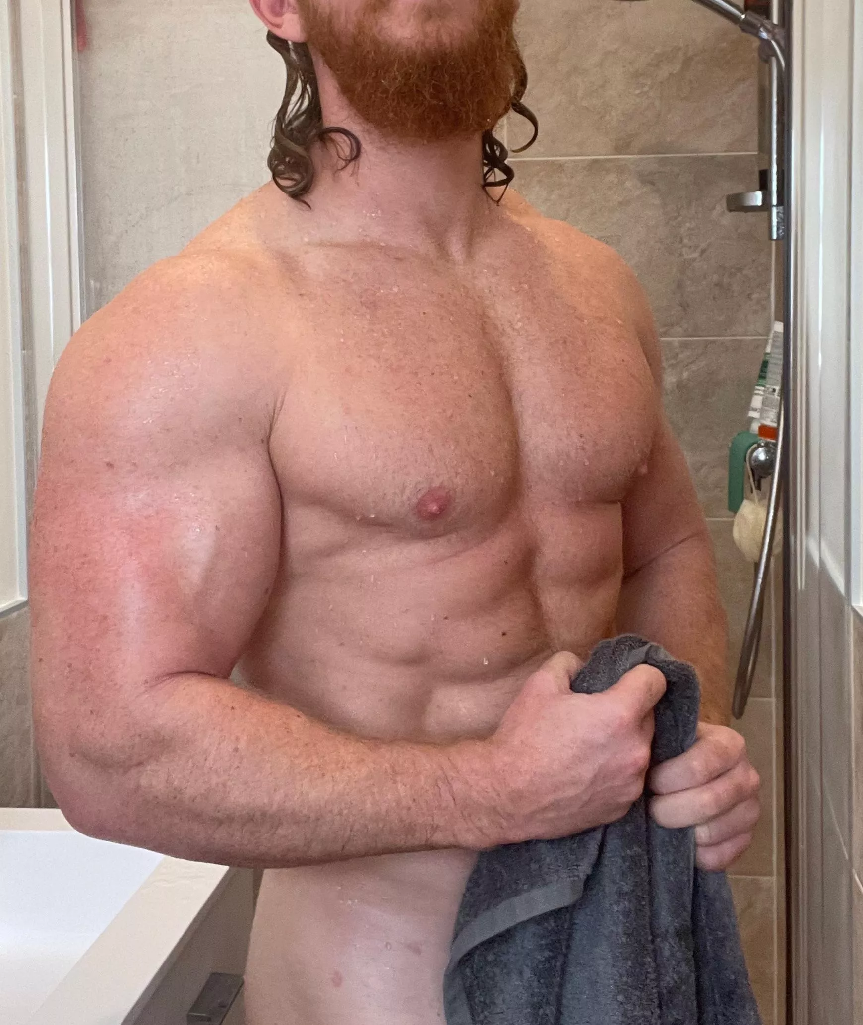 A whole lot of ginger! posted by Bearded_alpha1