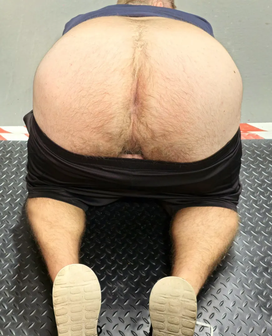 Any Vers Bears, South UK. posted by Chimp_on_Viagra