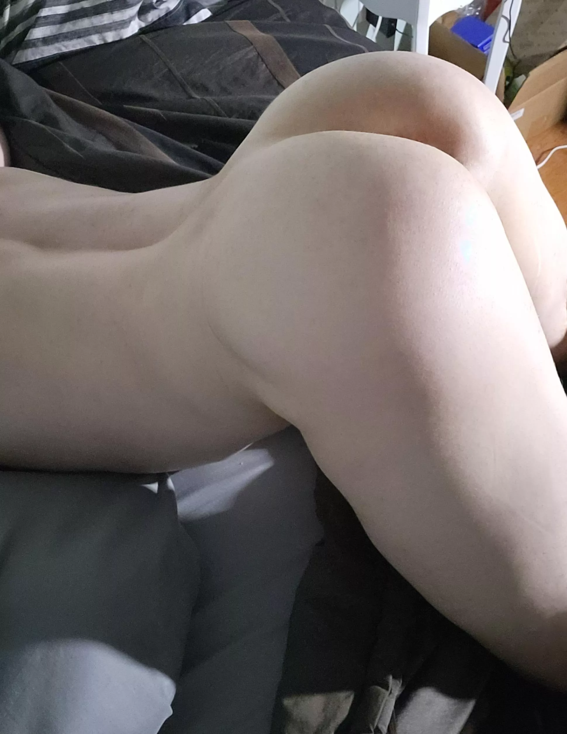 Arched for maximum breedability 😊 posted by Cereal_Chiller-