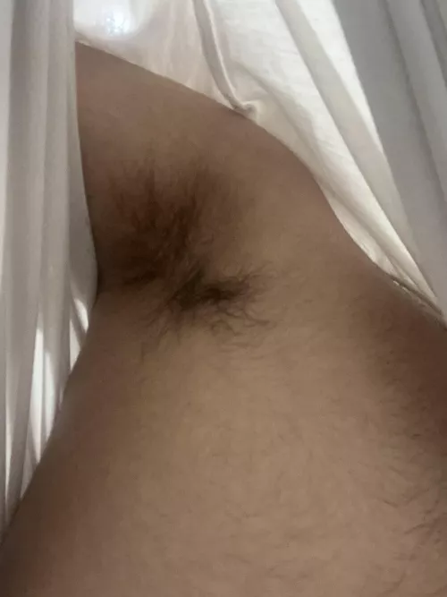 Are these Arab pits hot enough to get someone to submit and serve me😈👑 by king_stephlucas