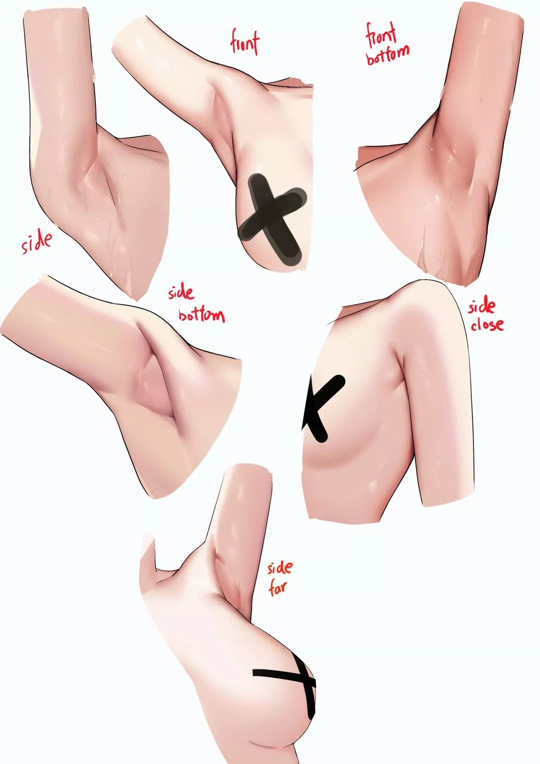 Armpit anatomy posted by Pure_Mud_5651