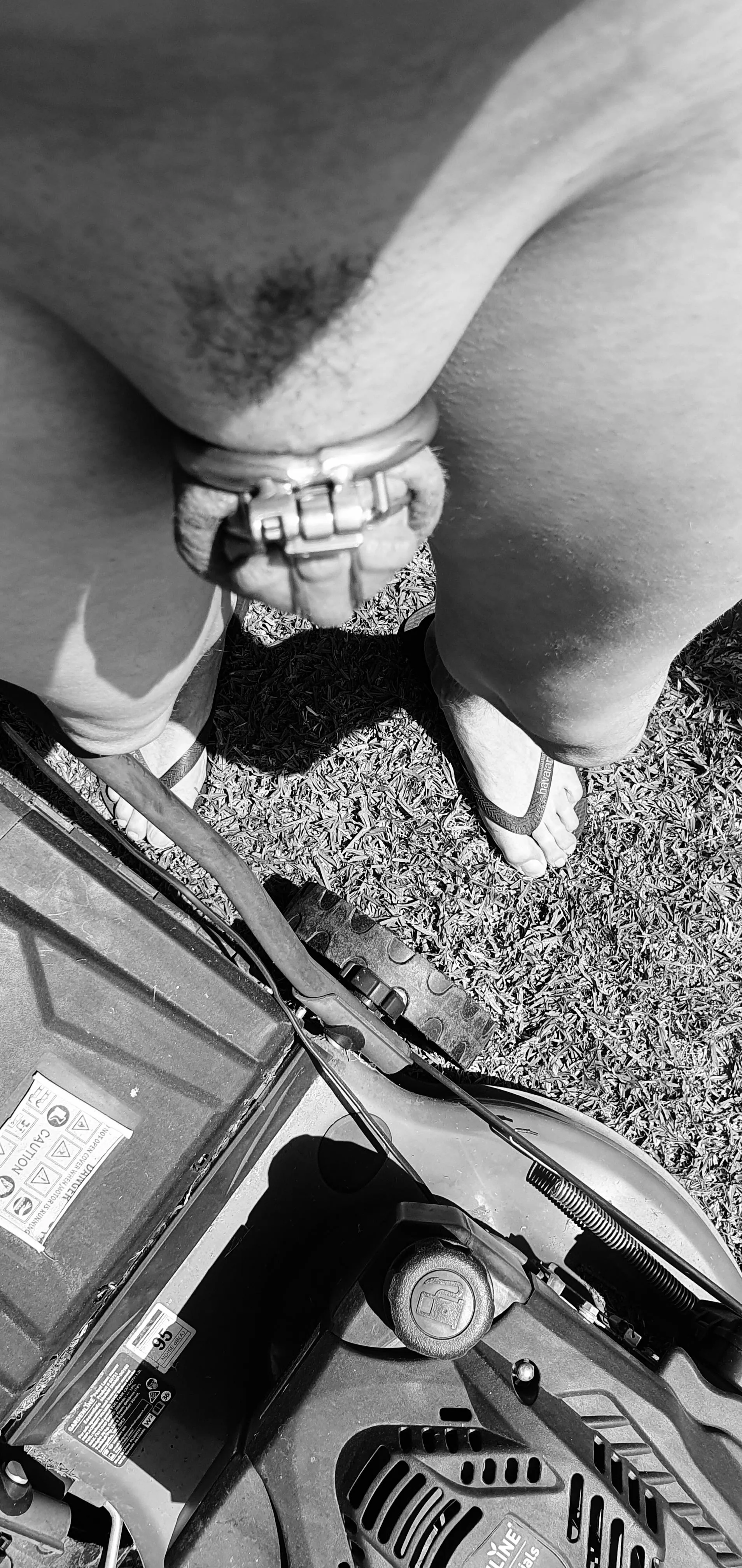 Had him doing the yard work pants less posted by shitsandgigssss