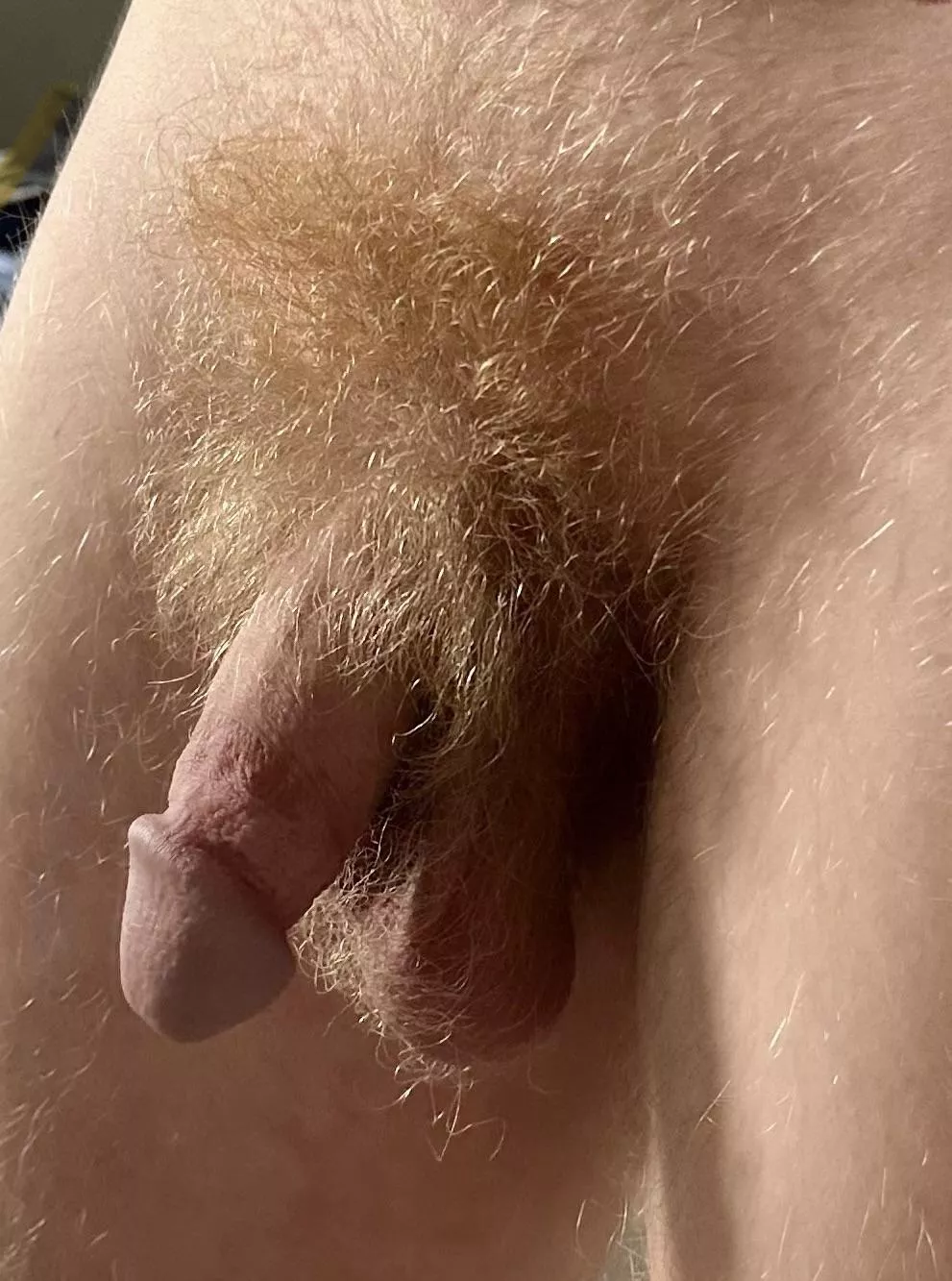 Natural Light. Natural fur. posted by Evening-Sort7197