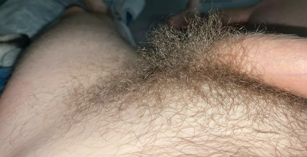 30 m looking for hairy dicks +++ with a fat bush for fun with face on snap add me : Marc.boy23 - prefer trade and then live cum by 29gaylookingforhairy