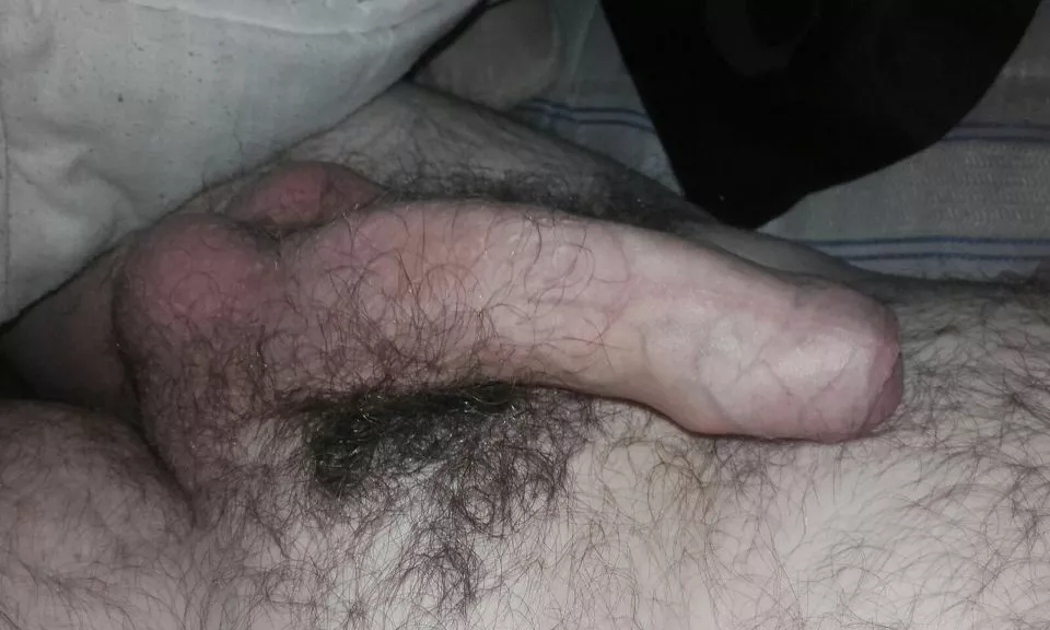 Anybody got Wickr? posted by confessions1996