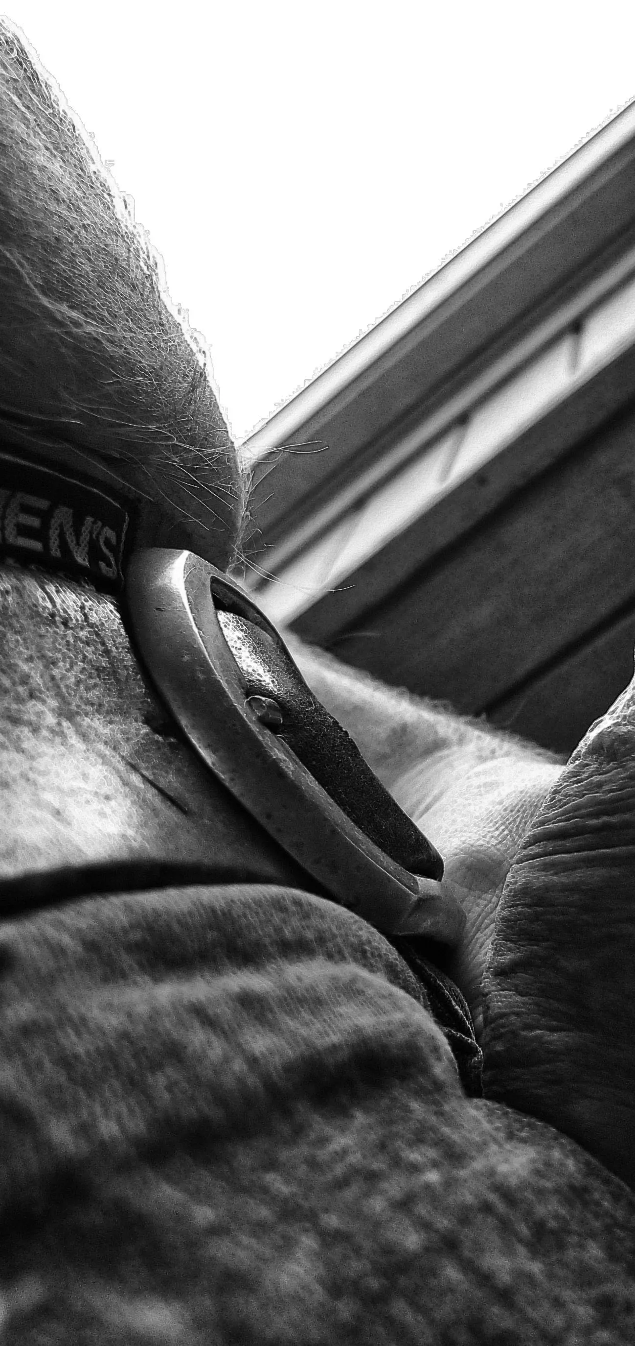 at the window posted by TheNudeMike