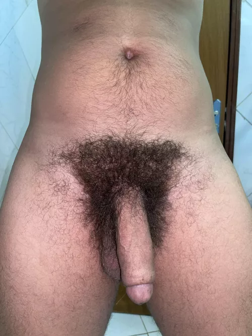 Do you like it? by Western-Ad-7803