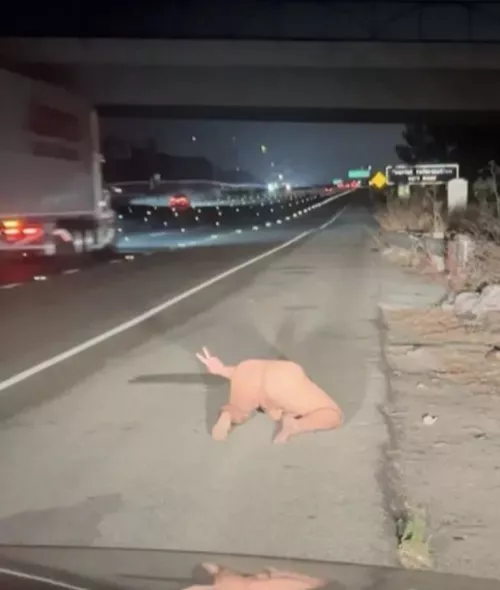 Giving the truckers a view by Virgilini