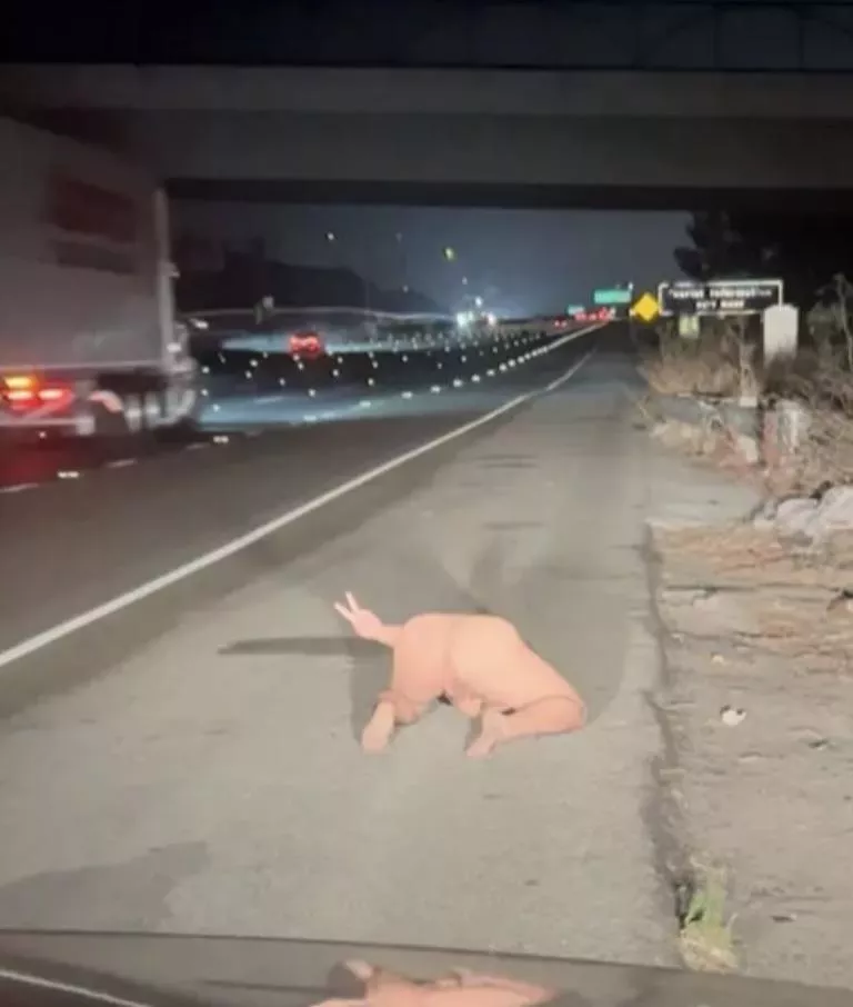 Giving the truckers a view posted by Virgilini