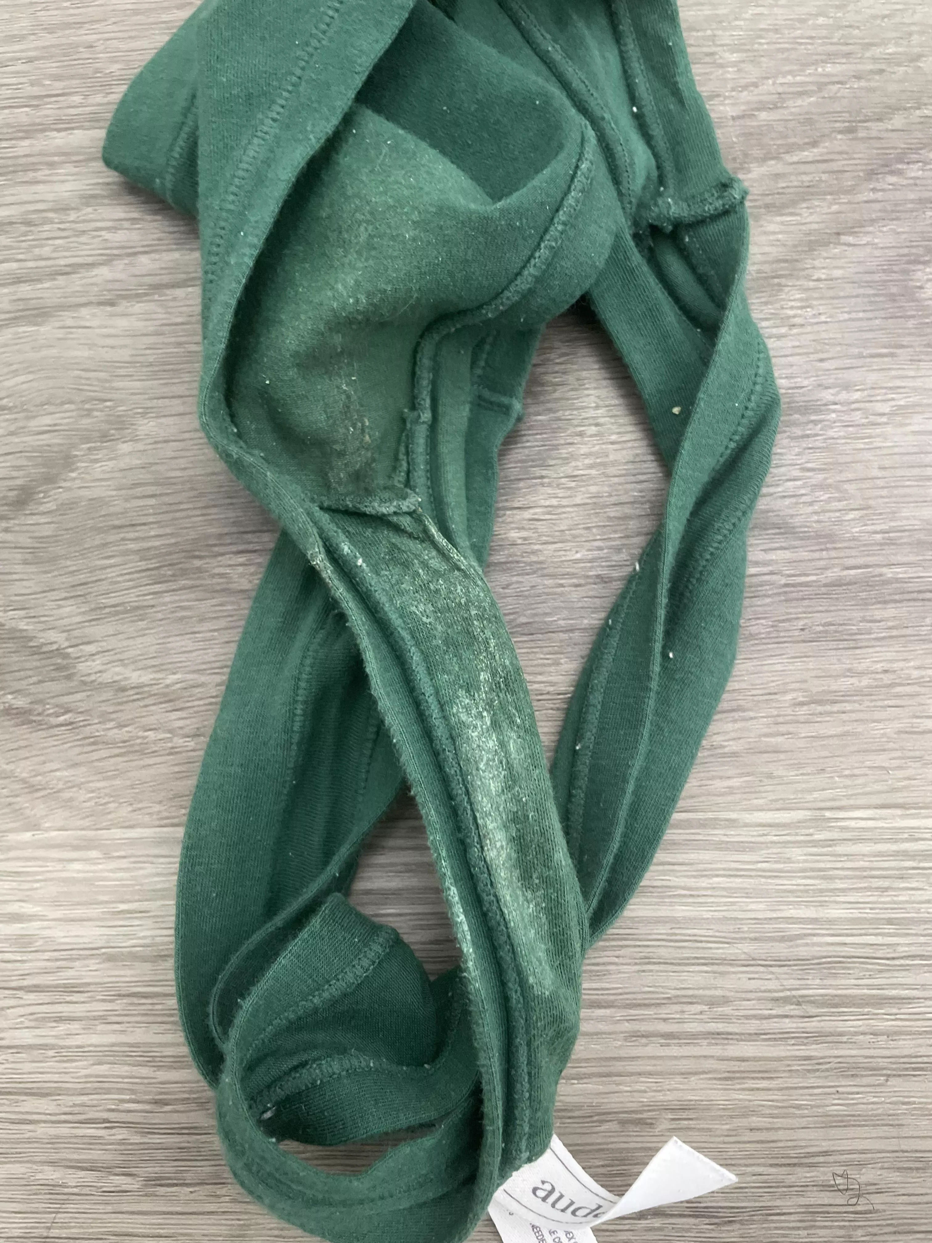 The thought of getting pregnant with my bull is addictive posted by Jeenaaquifinaa