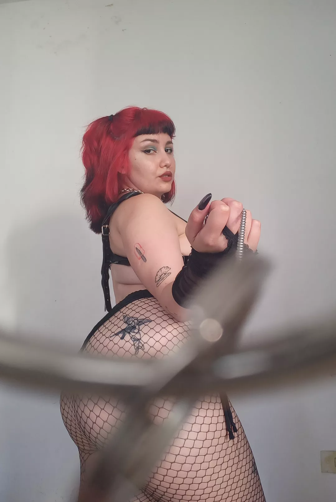 Accepting new puppies for adoption posted by virtualdivax