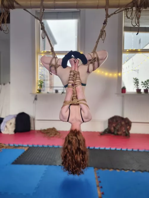 Dangling upside down 🙃 by alterskyex