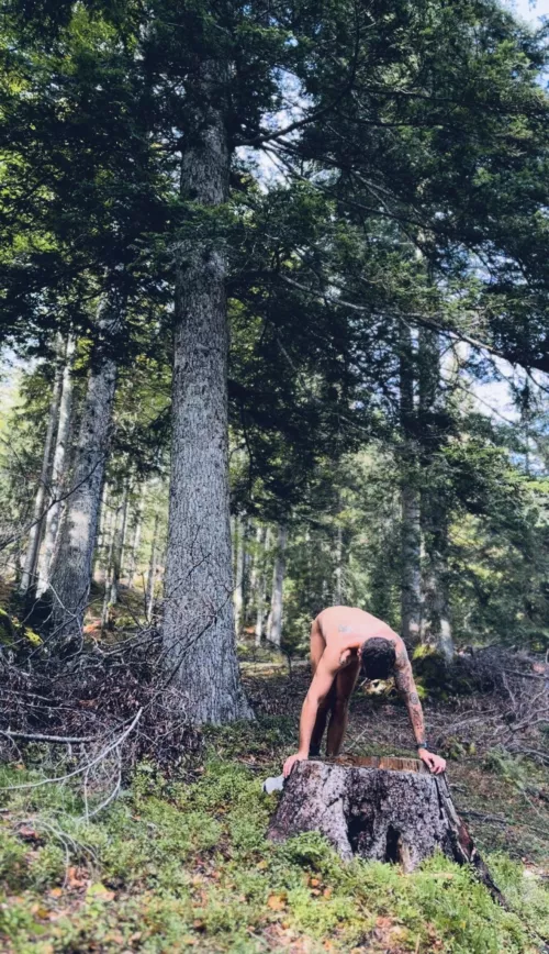 Downward Dog in Nature by ulixeshaus