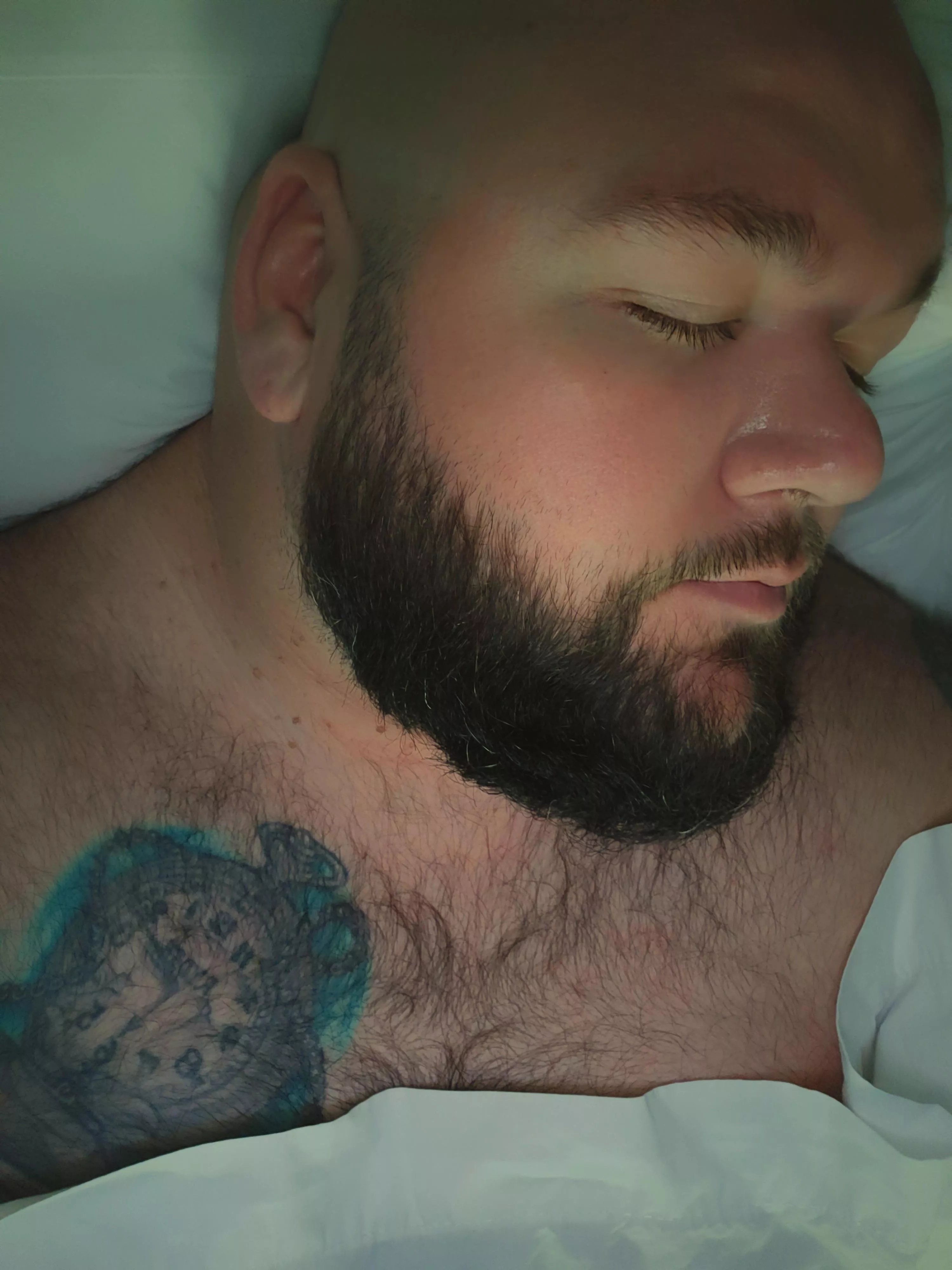 Just me.. posted by bigandbald2332