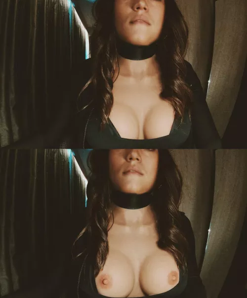 Love being collared! by jemtay