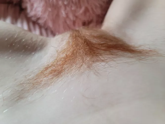 So many guys tell me hair is gross, but I love it hehe. by daddyhannah